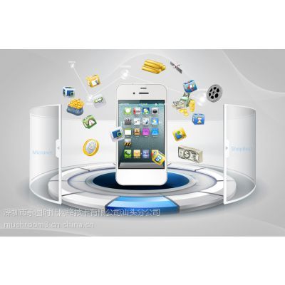 汕頭網(wǎng)站建設(shè)與設(shè)計(jì)專家 打造誠(chéng)信通旺鋪，賦能企業(yè)數(shù)字化發(fā)展